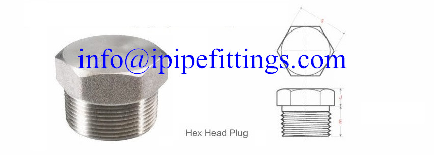 STAINLESS STEEL PLUG WITH ASTM A182 304L 316L FOR GAS OIL PIPELINE PROJECT FROM CHINA