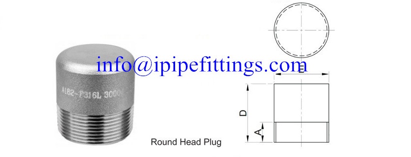 ASTM A182 304L F304H, F316 316L, F310 F317 F321 STAINLESS STEEL PLUG ASTM A105 A350